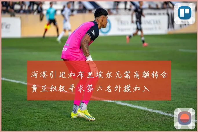 海港引进加布里埃尔无需高额转会费正积极寻求第六名外援加入